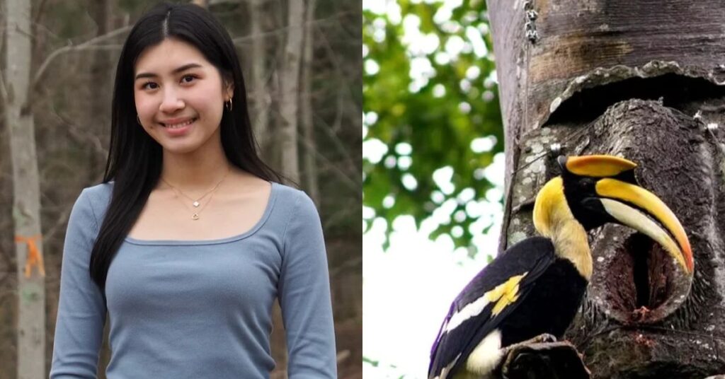 Yanin Tangkaravakoon posa ao lado de imagem de calau beneficiado por projeto em que plástico reciclado vira ninhos para aves ameaçadas na Tailândia