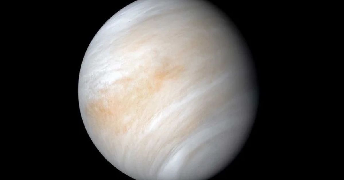 Por que Vênus gira ao contrário? Imagem do planeta Vênus usada em estudo da USP que explica a rotação retrógrada do astro.
