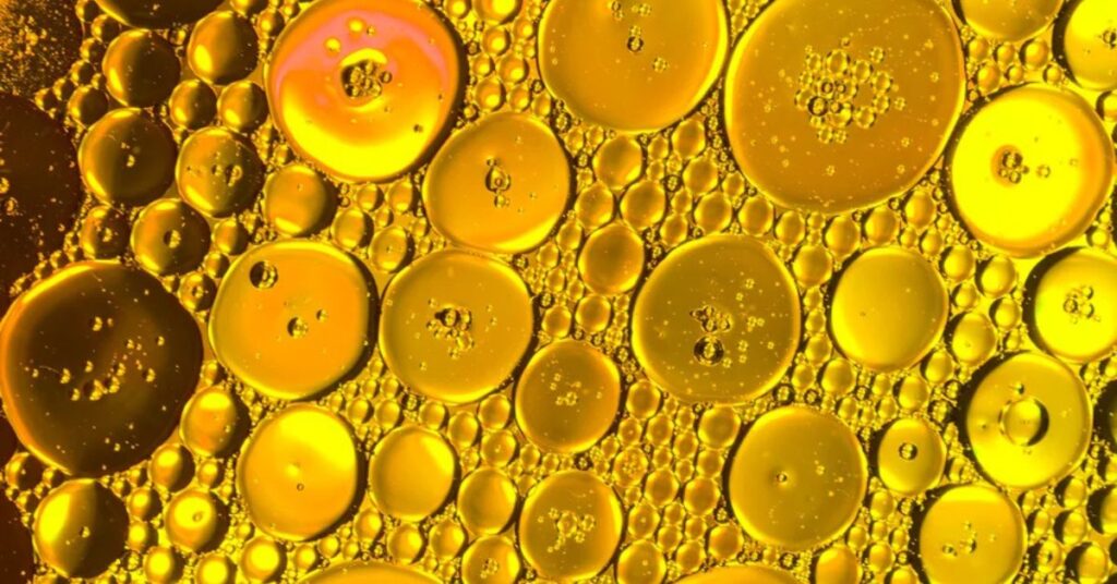 Gotas de gordura em imagem microscópica usada em estudo de Yale sobre prevenção do câncer de pâncreas