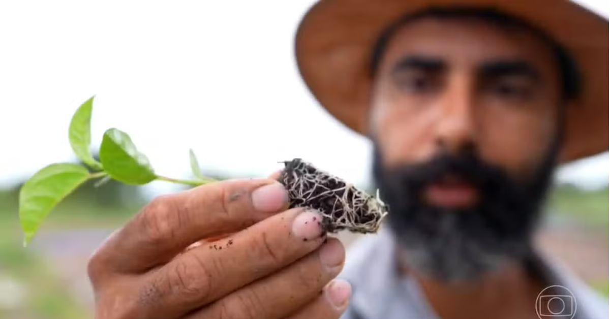 A região, antes conhecida pelas secas prolongadas, passou a expandir a produção agrícola com apoio da irrigação e da assistência técnica, fortalecendo a agricultura familiar e a produção de frutas.