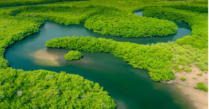 Desmatamento na Amazônia atinge o menor nível de alertas em dez anos