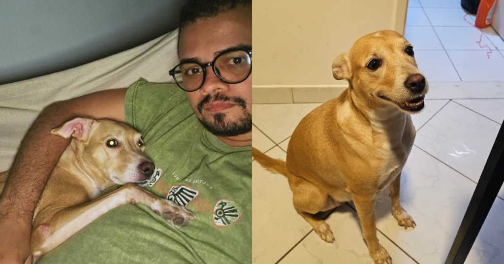 Rodrigo é tutor da Luna, um vira-lata caramelo de 6 anos.