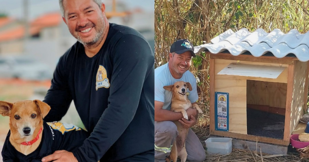 Casinhas para cães já passam de 1,7 mil unidades e ajudam a proteger animais abandonados do frio e da chuva em São José do Rio Preto (SP).