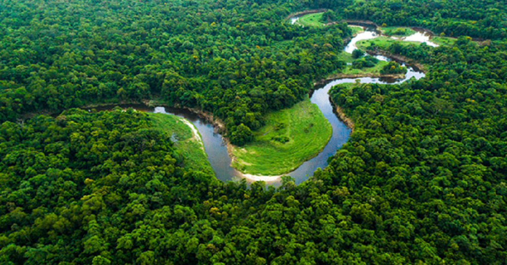 A Mata Atlântica abriga um dos maiores remanescentes florestais do país e inspirou o projeto reconhecido com o Oscar da ecologia brasileira.