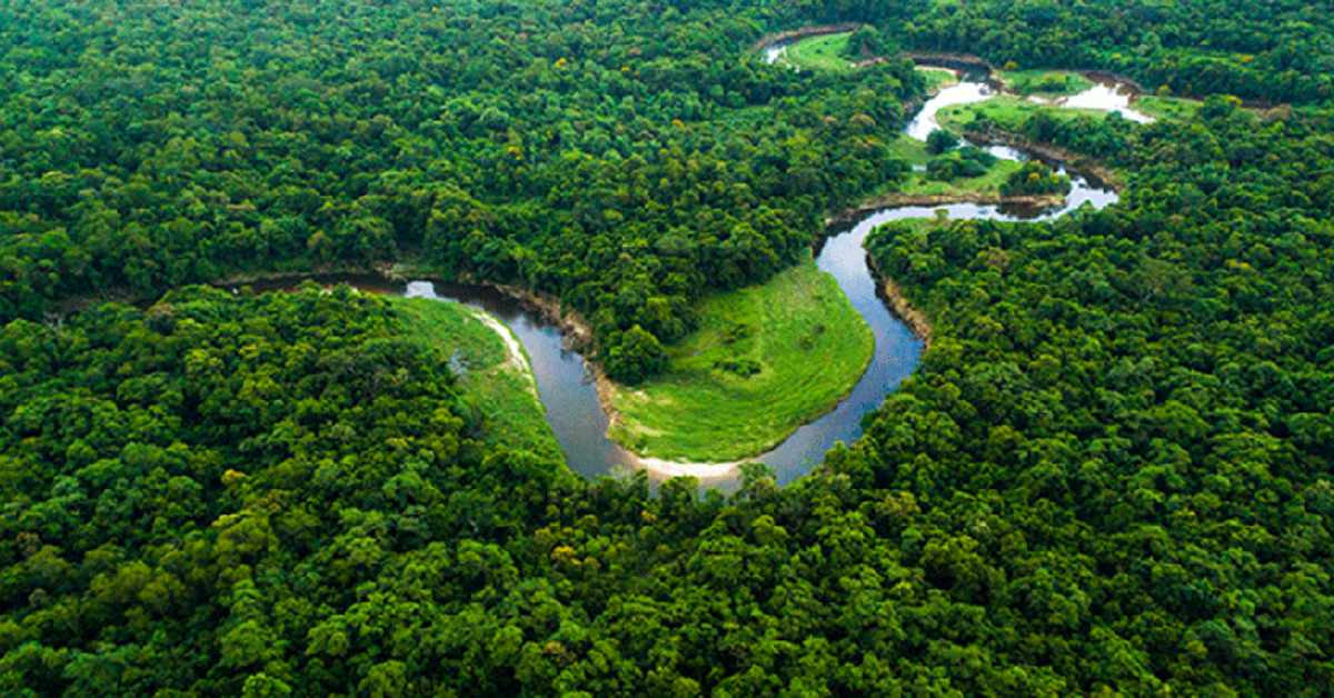 A Mata Atlântica abriga um dos maiores remanescentes florestais do país e inspirou o projeto reconhecido com o Oscar da ecologia brasileira.