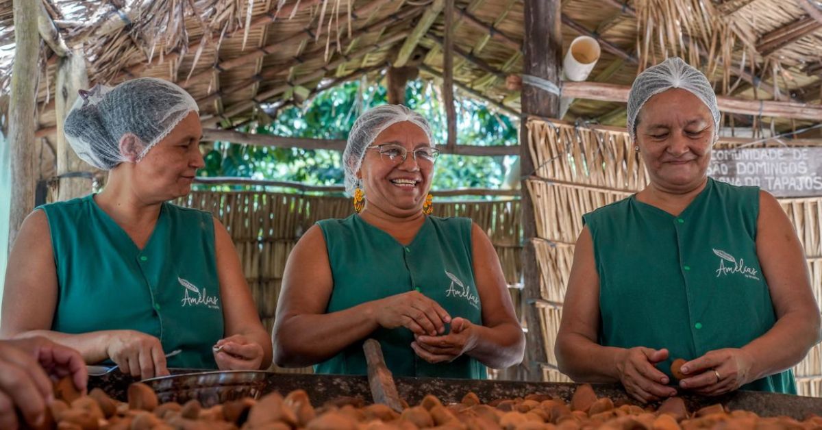 Mulheres ribeirinhas das Amélias da Amazônia produzem óleo de andiroba na Floresta Nacional do Tapajós.