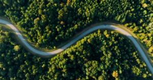 Projeto de restauração da vegetação nativa já representa 5% da meta ambiental do Brasil até 2030
