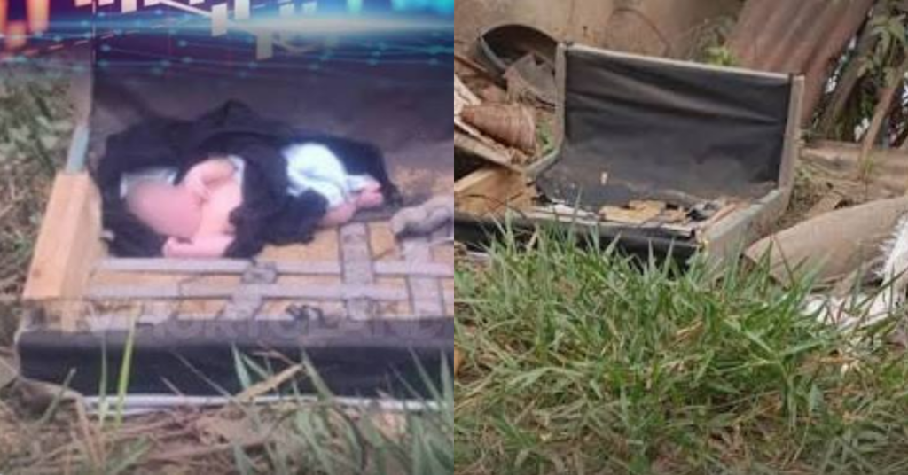 O recém-nascido encontrado em Sabará foi resgatado após cachorros chamarem a atenção de moradores para uma caixa deixada perto do lixo. (