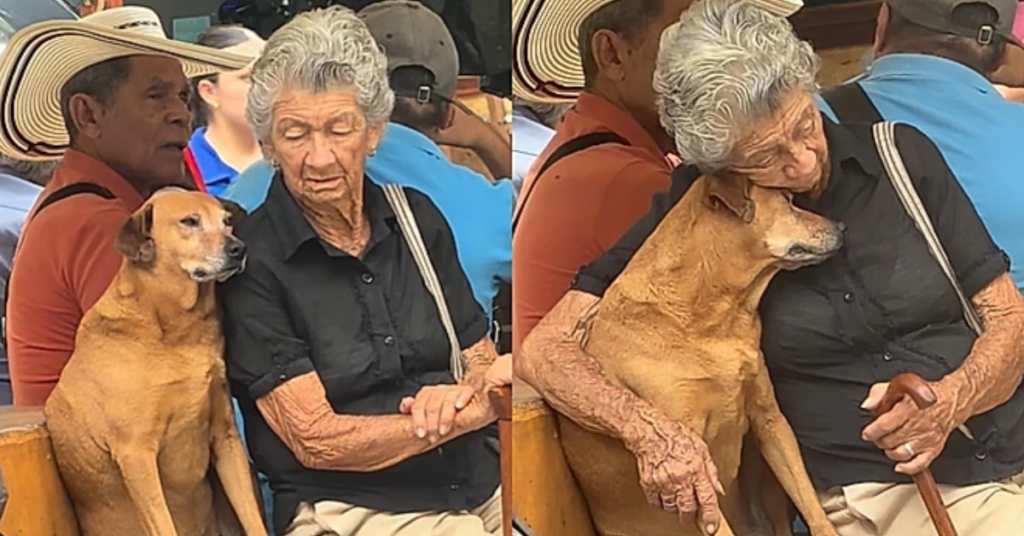 Idosa abraça cachorrinha em banco de praça em Támesis, na Colômbia.