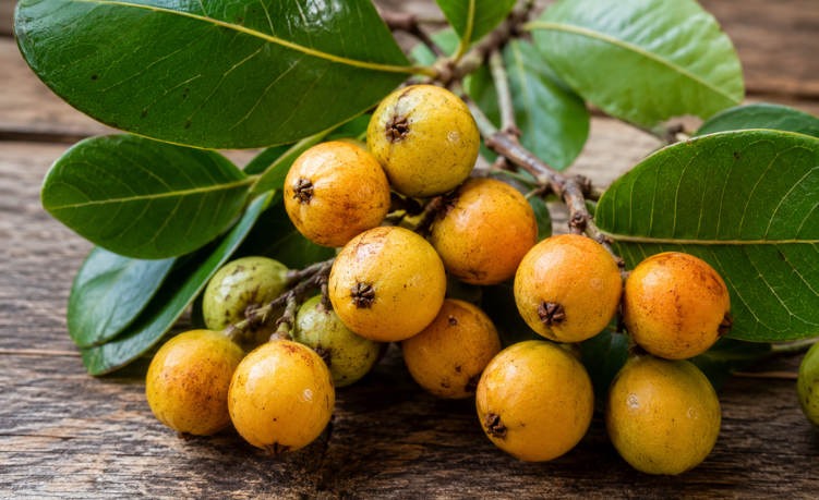 Frutos de murici amarelos e alaranjados entre folhas verdes.