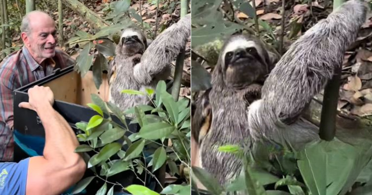 Ney Matogrosso em sítio com área preservada de Mata Atlântica em Saquarema, no Rio de Janeiro.