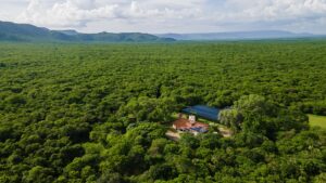 Reserva criada para proteger a carnaúba vira refúgio de biodiversidade na Caatinga