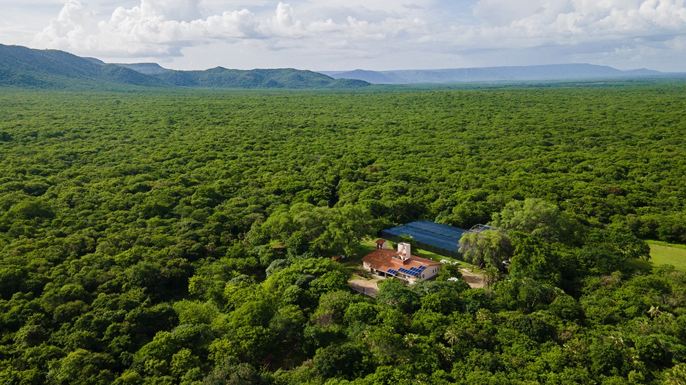Paisagem da Reserva Natural Serra das Almas, área de conservação da Caatinga entre Ceará e Piauí.