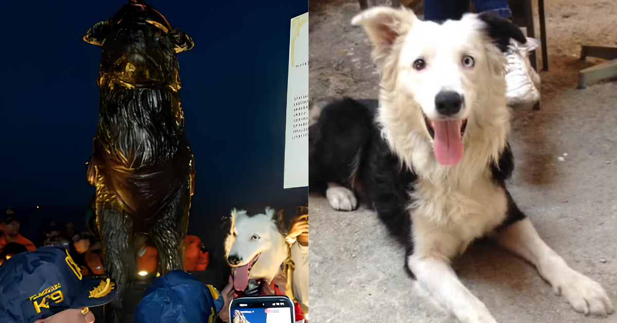 Cão Tsunami ao lado da estátua criada em sua homenagem na Venezuela.