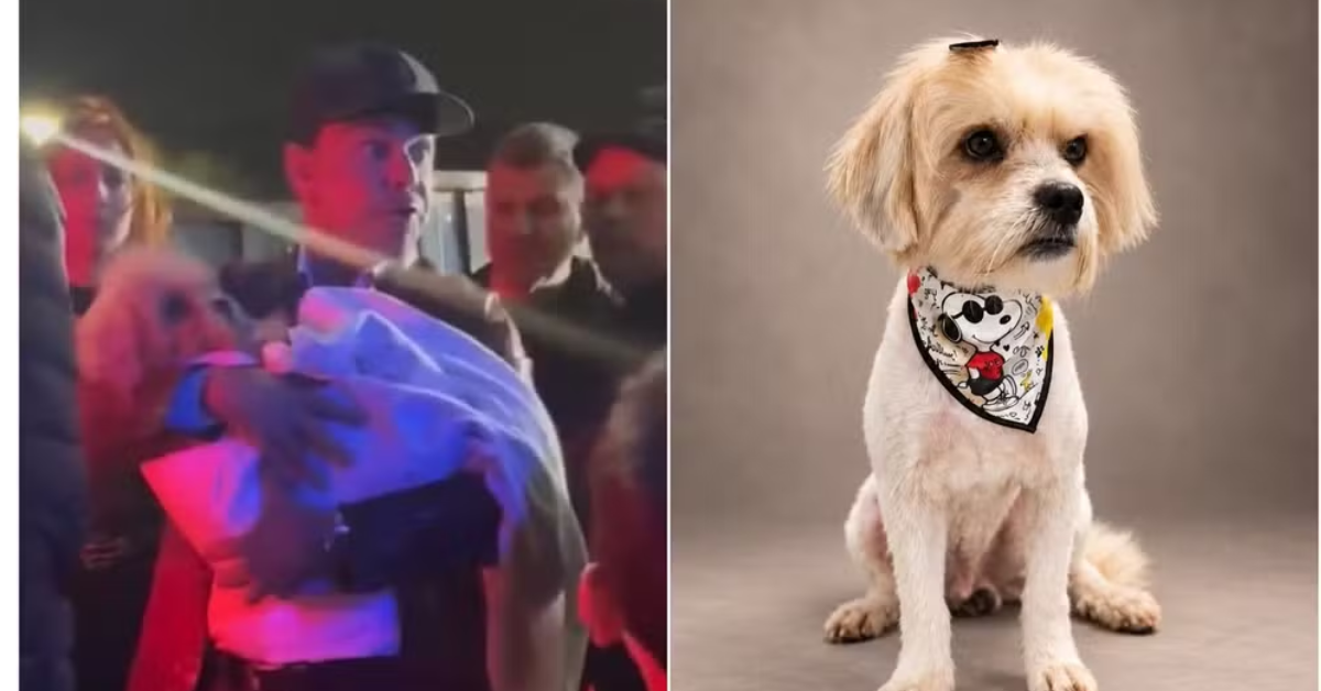 Zezé Di Camargo com Francisco, cachorro adotado após aparecer no camarim antes de show em São Paulo.